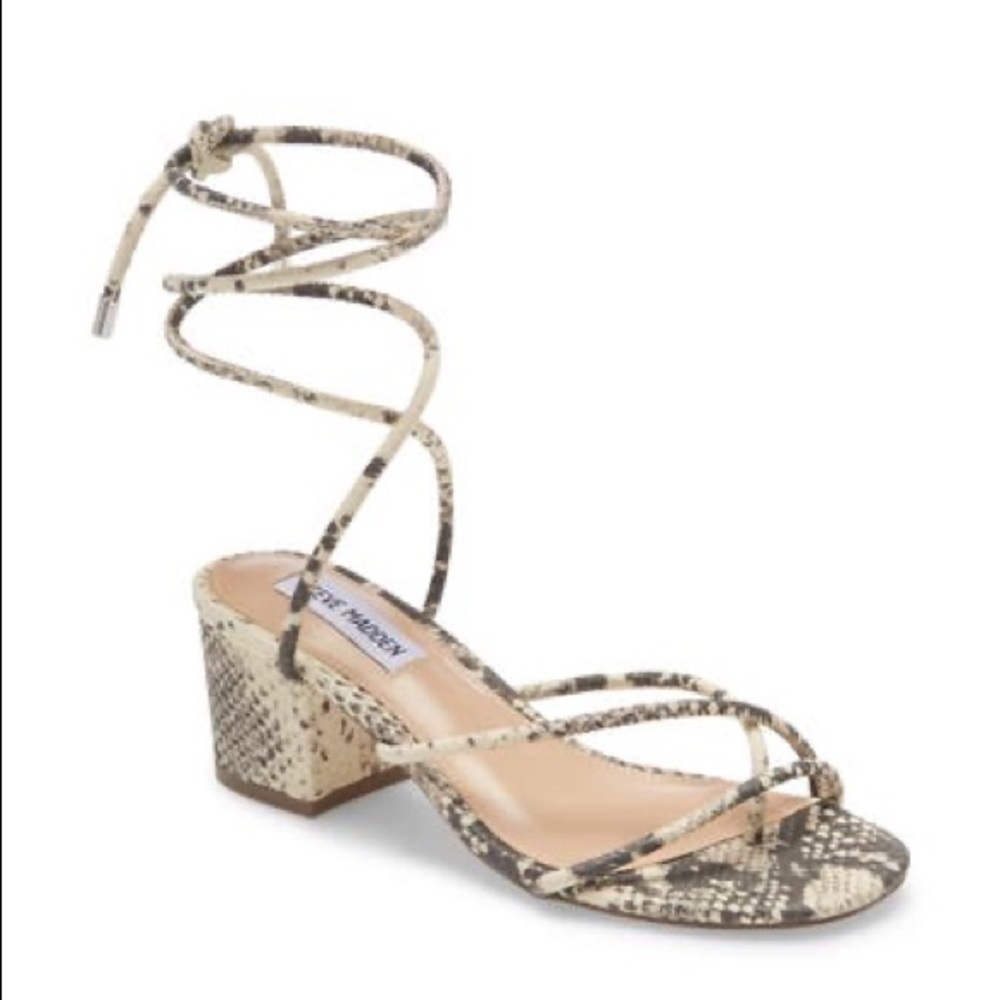 steve madden impressed lace up sandal snake 10